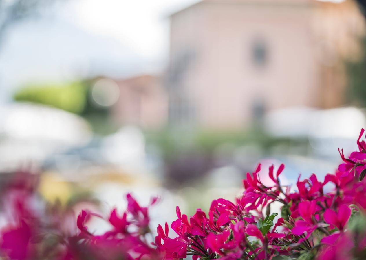 Crotto Del Misto Hotel Lezzeno Exterior photo